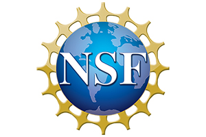 NSF | AAPharmaSyn | chemistry outsourcing